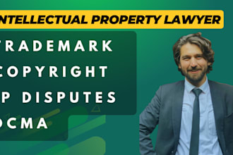 be your IP lawyer for trademark, copyright, and IP disputes