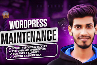 maintain and fix all issues on your wordpress website