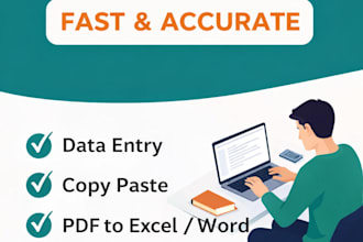 accurate data entry, copy paste, PDF to word or excel work