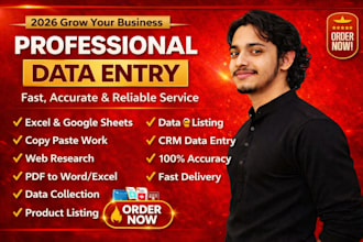 do accurate excel data entry and spreadsheet cleanup