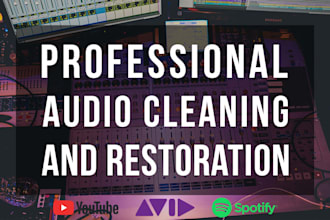 professionally clean and enhance your audio or video sound