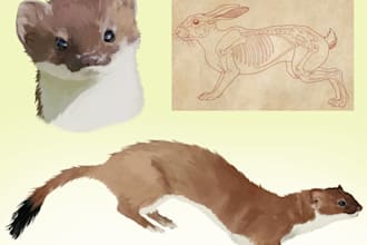 draw you an animal