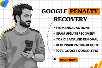 provide professional google penalty recovery