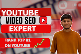 youtube video SEO, traffic, promotion, channel manager