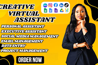 be your linkedin ig fb mass dm yt ghl personal  executive virtual assistant