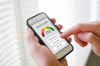 provide experian inquiries removal, late pey ment, charge off within 24 hours