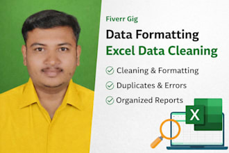 your excel expert for data cleanup and formatting
