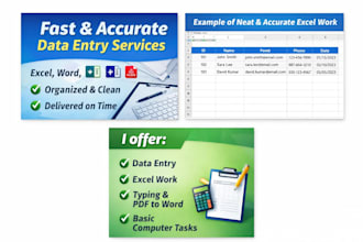 do data entry and basic computer programming work