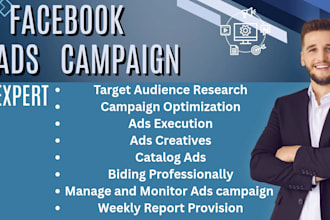 be setup facebook ads campaign expert for quality