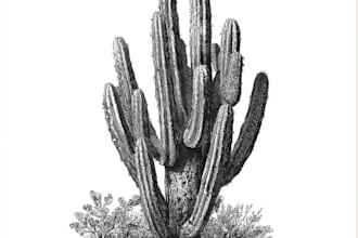 drawn a highly detailed line art botanical illustration