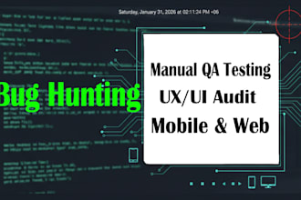 do professional manual website testing and bug hunting