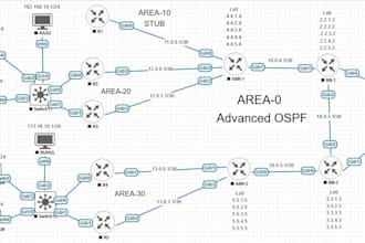 do routing, switching along with technical support