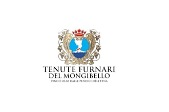 craft a powerful wine company logo