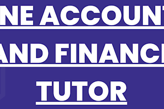assists you in accounting and finance and economics tasks