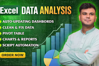 professional excel dashboards and clean data analysis