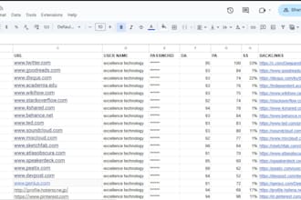 digital marketer and seo excecutive