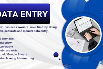 do accurate data entry for busy business owners