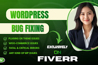 fix bugs and errors on your website