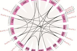 assist you in ploting circos plot