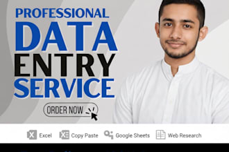do professional data entry, copy paste and web research