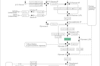 do go and kegg analysis