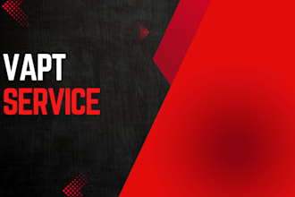 do vapt for  your organization