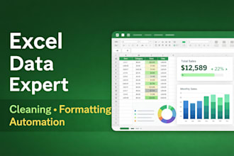 do excel data cleaning, formatting and data organization professionally