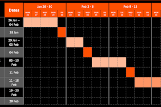 be your fractional project manager and keep delivery on track