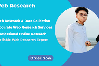 do professional web research