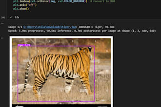 build custom computer vision models using pytorch or tensorflow