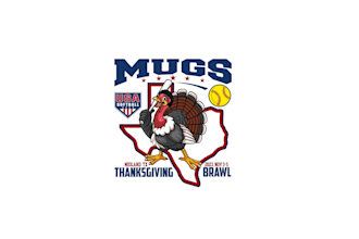 create awesome and gorgeous turkey logo design