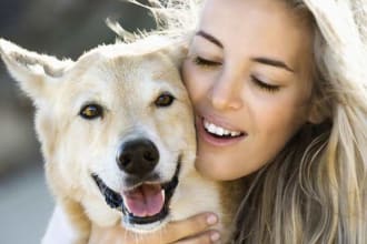 send very powerful karuna reiki to your beloved pets