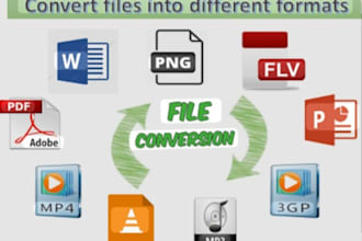 convert the files into PDF