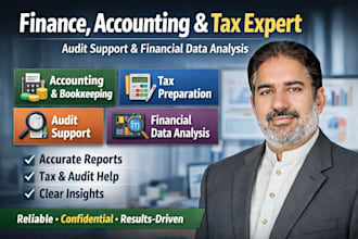 do finance accounting audit support data analysis