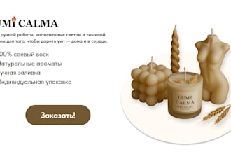 design a professional tilda website