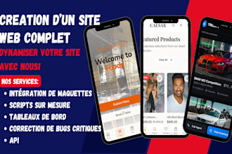 build french site, création de site internet wordpress, migrer