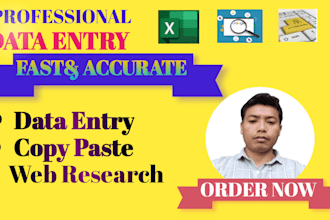 data entry, copy paste, typing and web research