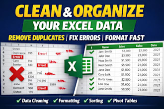 clean, format and organize excel data professionally