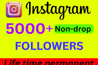get 1000 organic instagram followers