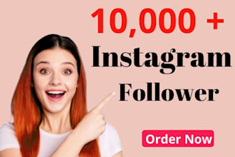 get 1000 organic instagram followers
