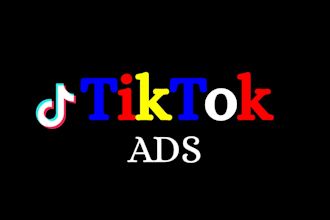 setup tiktok ads campaign,manage tiktok advertising