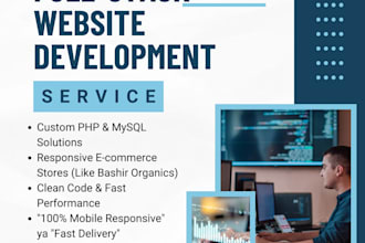 build a professional business website or e commerce store
