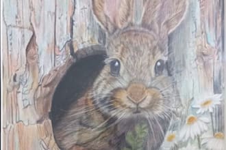 create a hand drawn wildlife illustration in realistic style