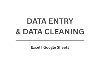 do data entry, data cleaning, and excel data input