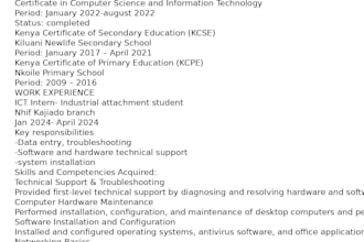 write and format a professional CV or resume