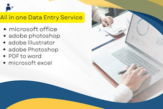 provide expert data entry, and graphic desing
