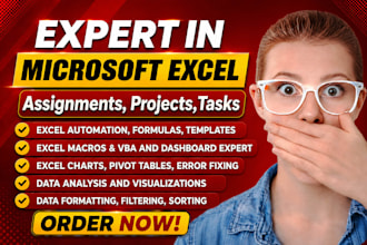 do microsoft excel assignments, projects, modules and any excel tasks