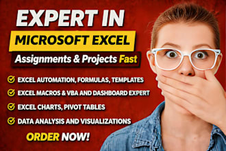do your microsoft excel ,ms word assignments, project and modules urgently