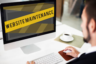 fix wordpress errors, bugs and performance issues