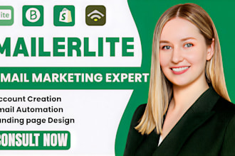 setup klaviyo brevo mailerlite landing page, mailerlite newsletter automation